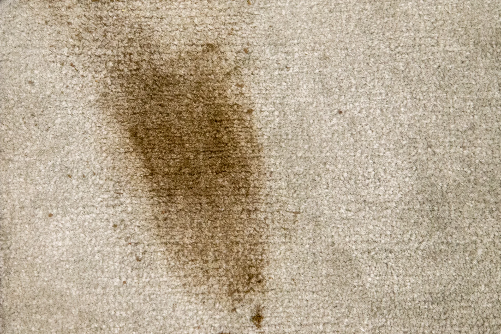 What Is The Preparation And Safety To Remove Coffee Stains?
